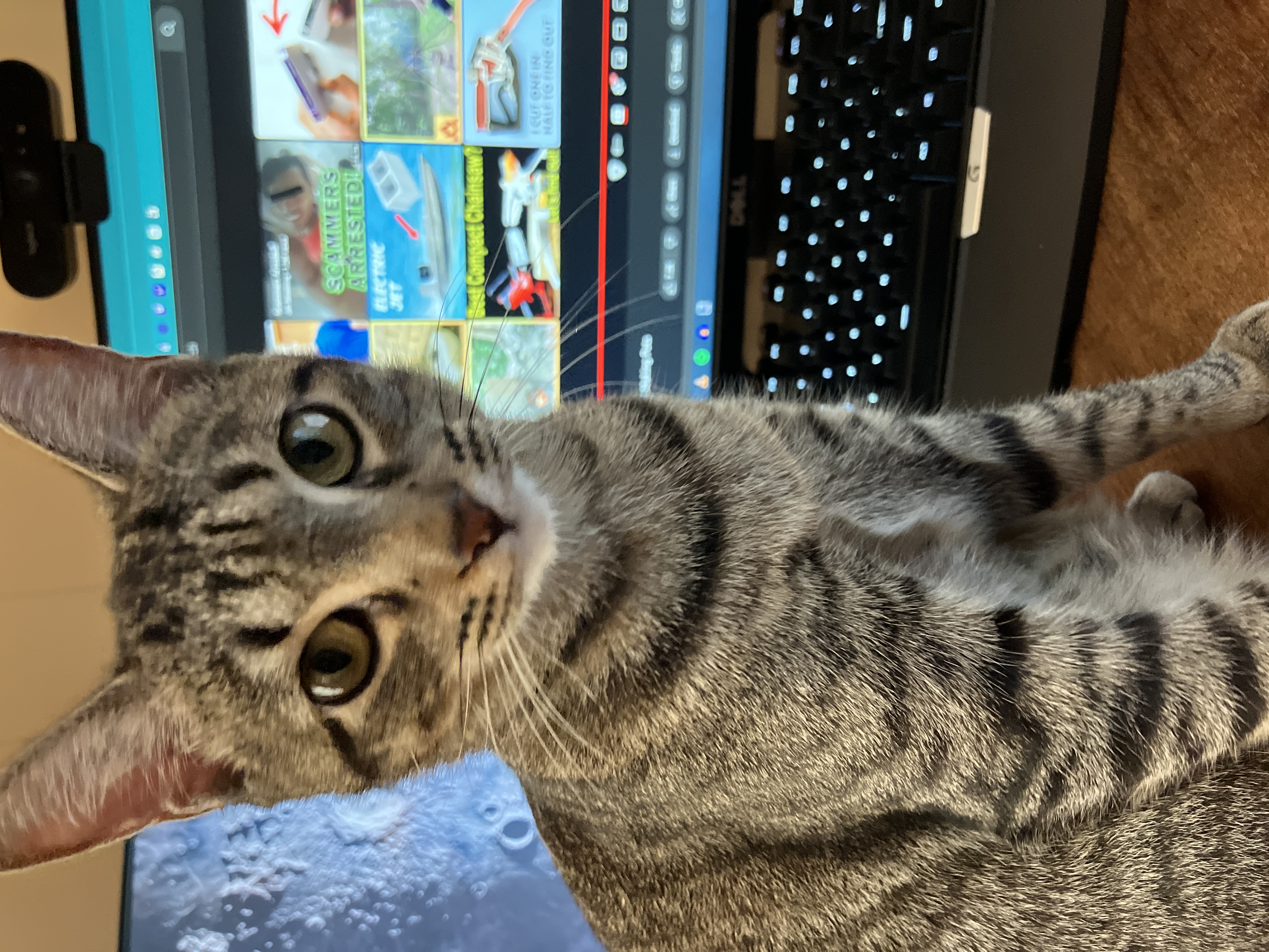 tobi1