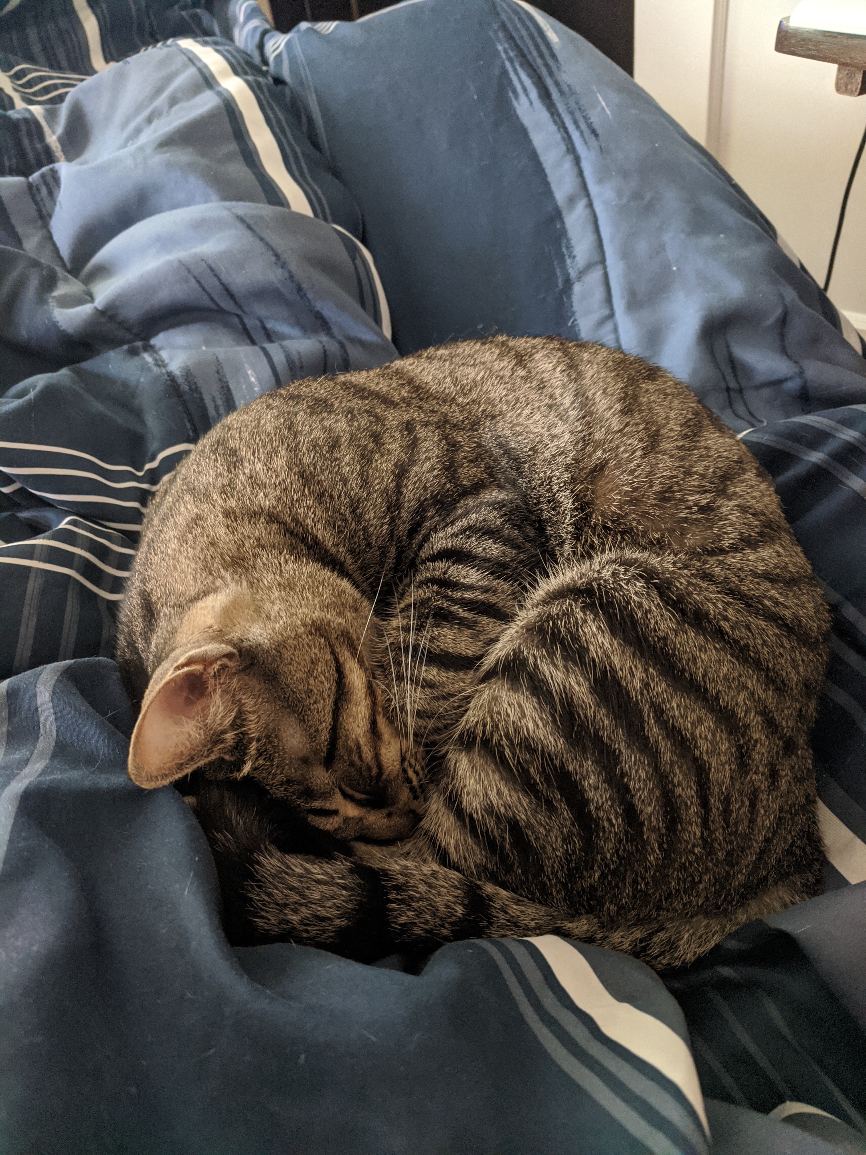 tobi83