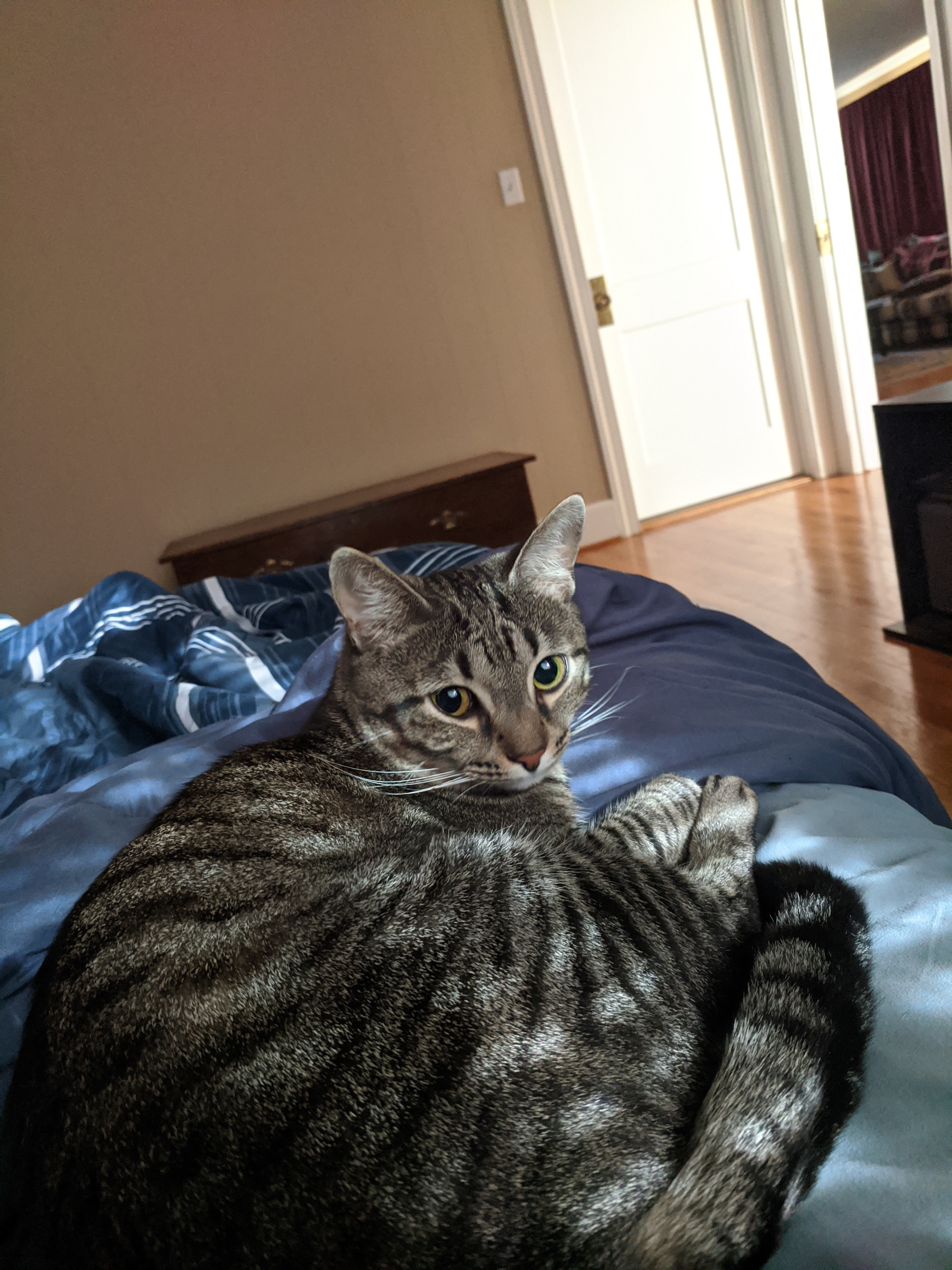 tobi88